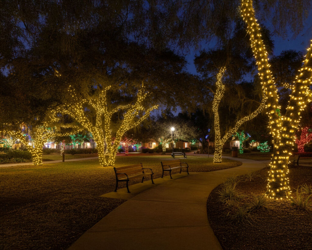 Community common area in San Antonio featuring holiday-wrapped trees, decorated with festive lights and ornaments.
