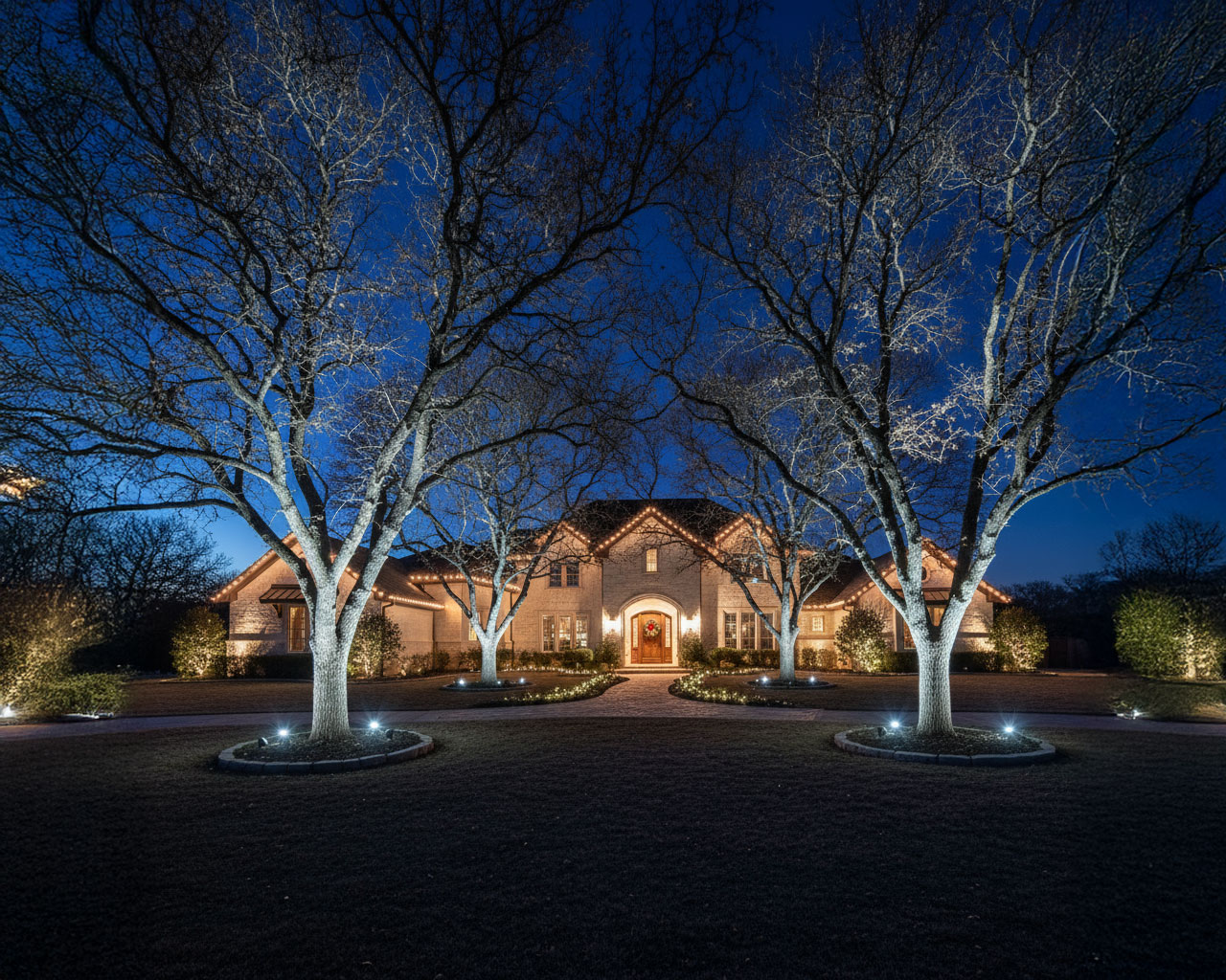San Antonio Christmas tree uplighting with ground spotlights illuminating the scene at night